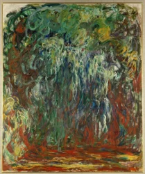 Trauerweide, Giverny